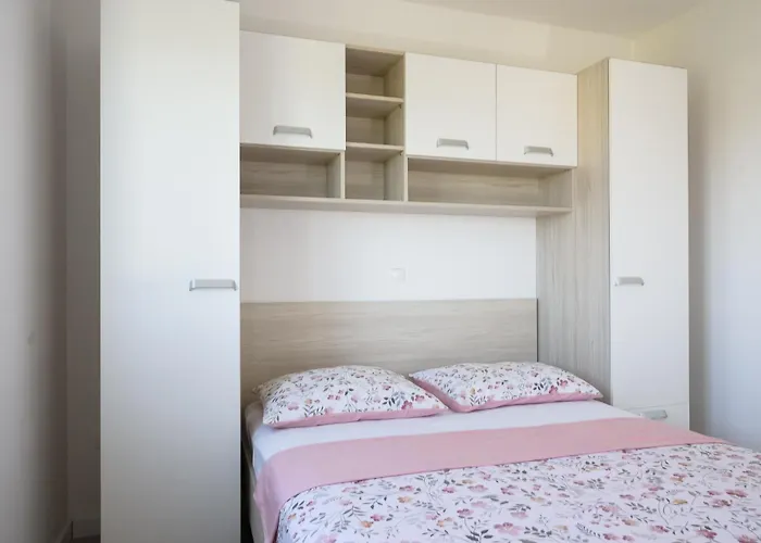 Franka * טרוגיר